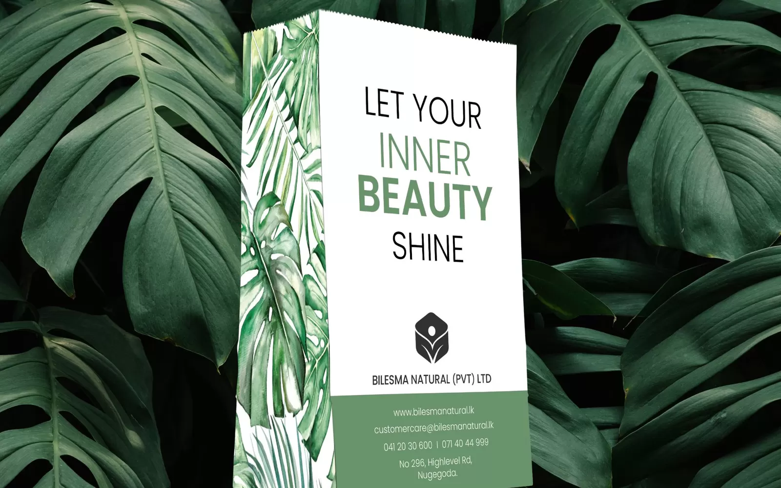 Bilesma Ayurveda brand identity