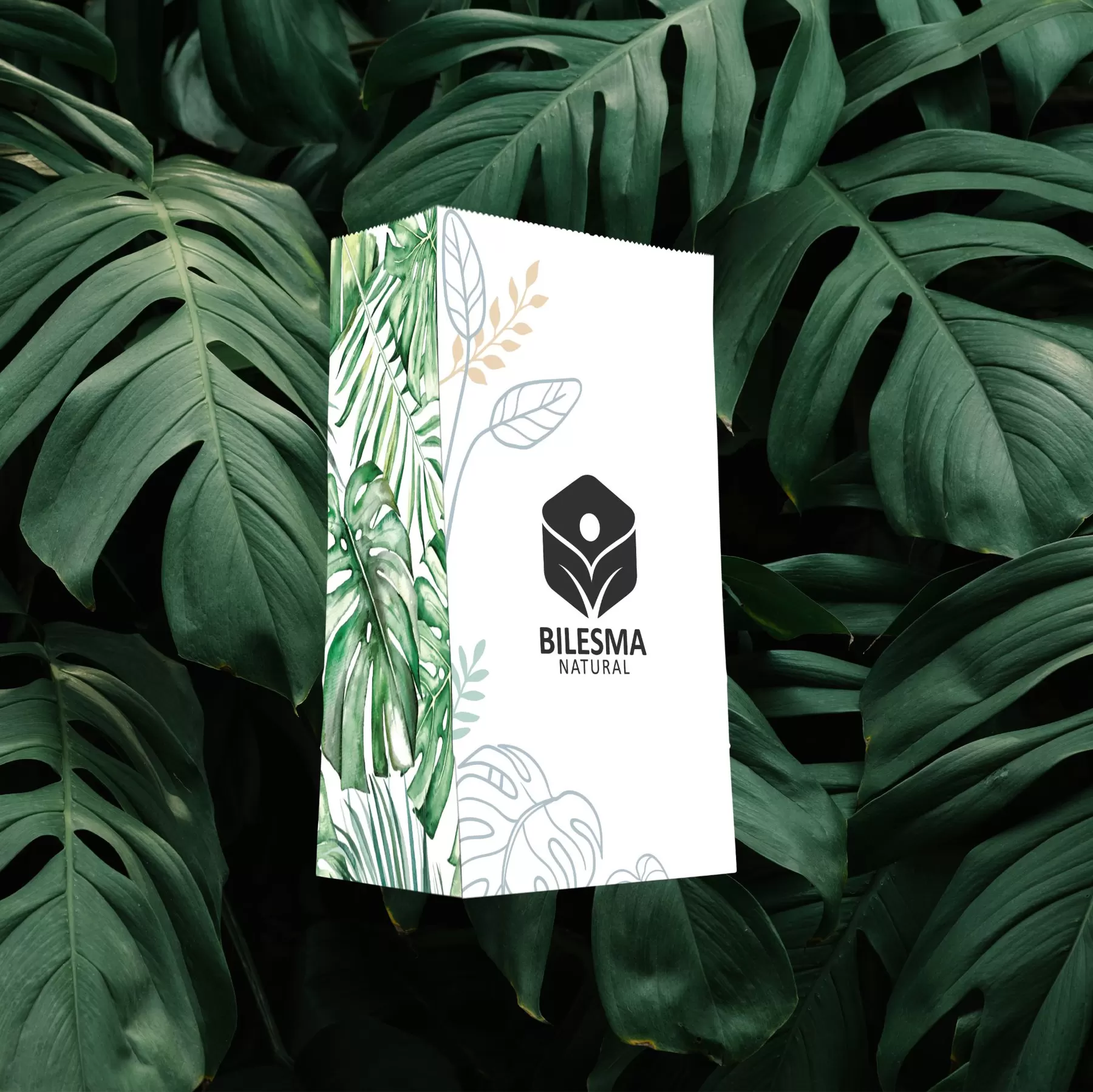 Bilesma Natural white botanical paper bag photographed among monstera leaves