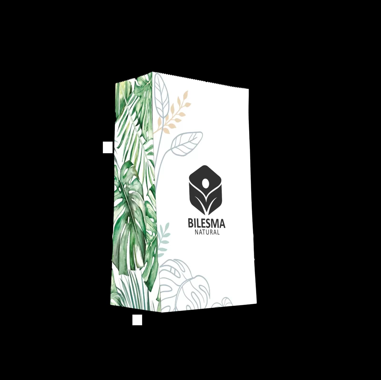 Bilesma Natural logo brand panel with line-art leaves and watercolour monstera, packaging design by Uniix Studio
